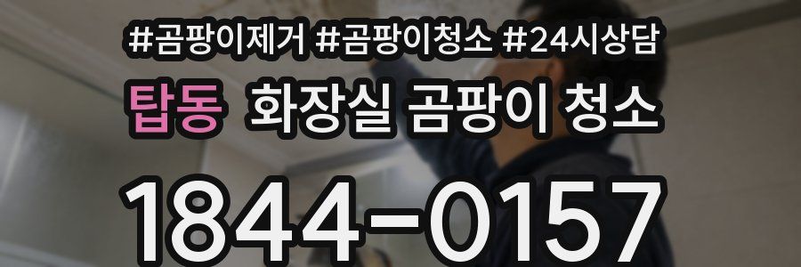 탑동 화장실 곰팡이 청소