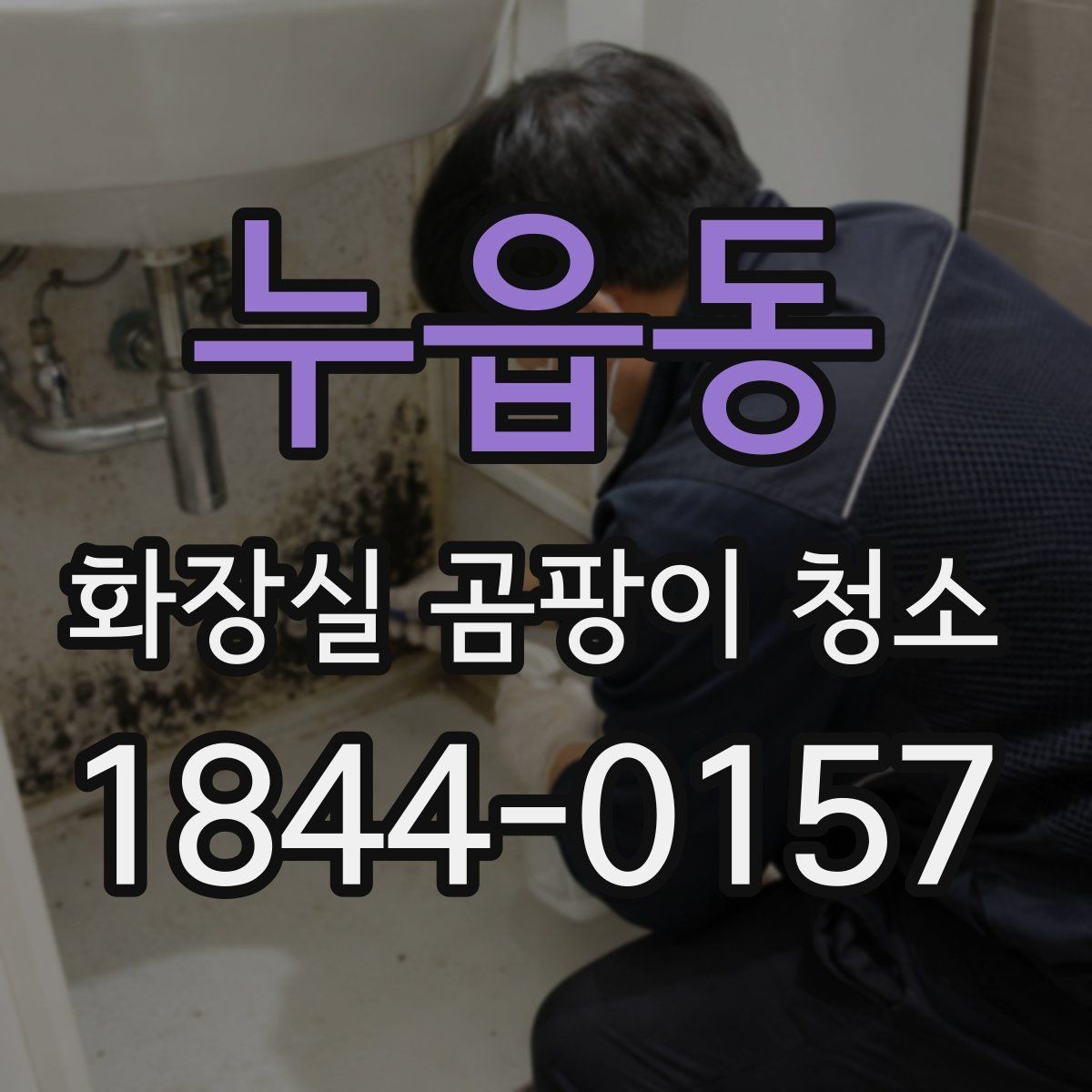 누읍동 화장실 곰팡이 청소 곰팡이 번진 범위에 따라 달라지는 손질 계획