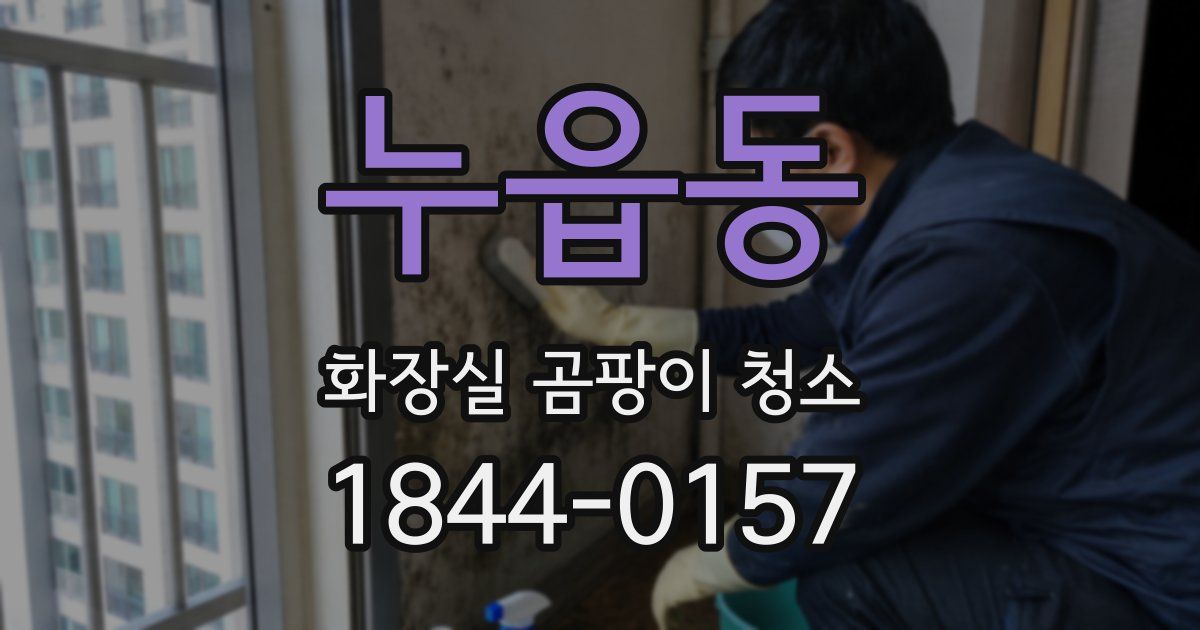 누읍동 화장실 곰팡이 청소