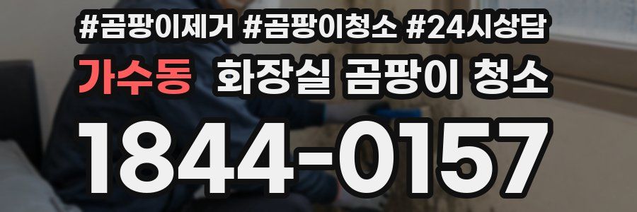 가수동 화장실 곰팡이 청소