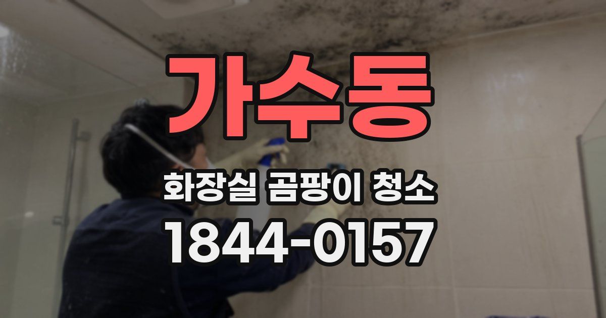 가수동 화장실 곰팡이 청소