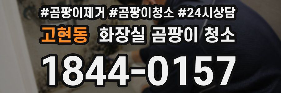 고현동 화장실 곰팡이 청소