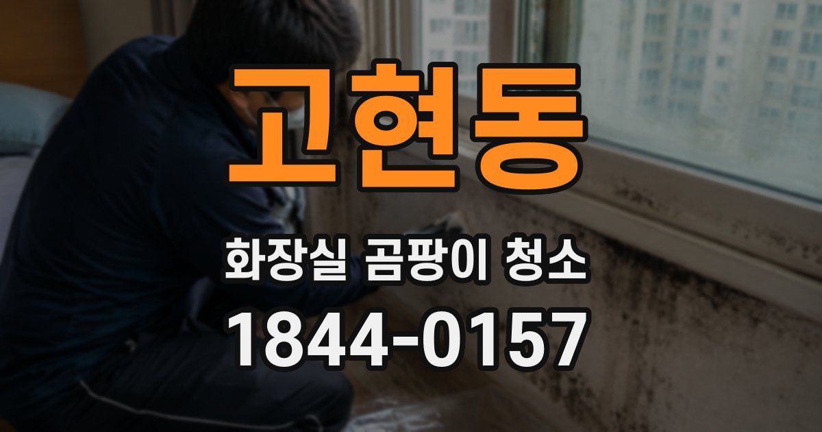 고현동 화장실 곰팡이 청소
