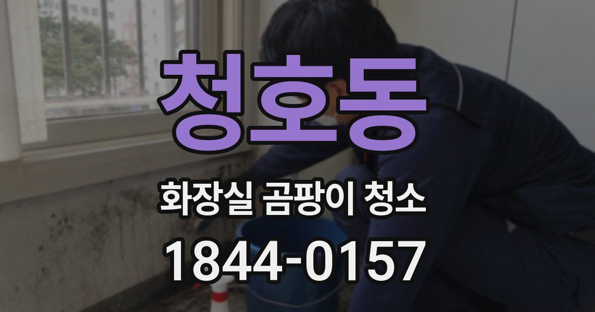 청호동 화장실 곰팡이 청소