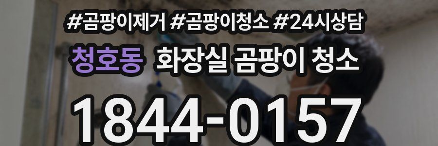 청호동 화장실 곰팡이 청소