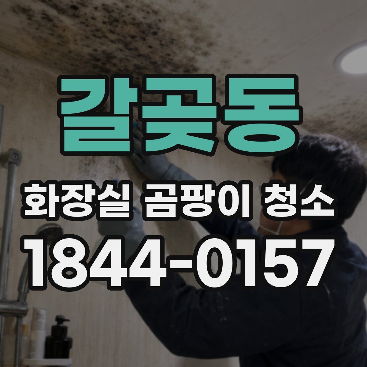 갈곶동 화장실 곰팡이 청소 배수구 주변 물때와 곰팡이를 나눠 보는 법