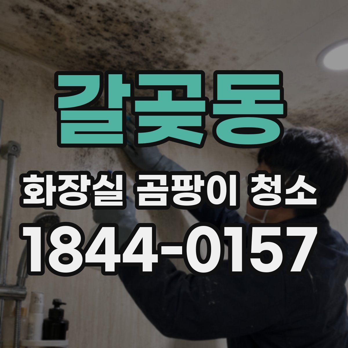 갈곶동 화장실 곰팡이 청소