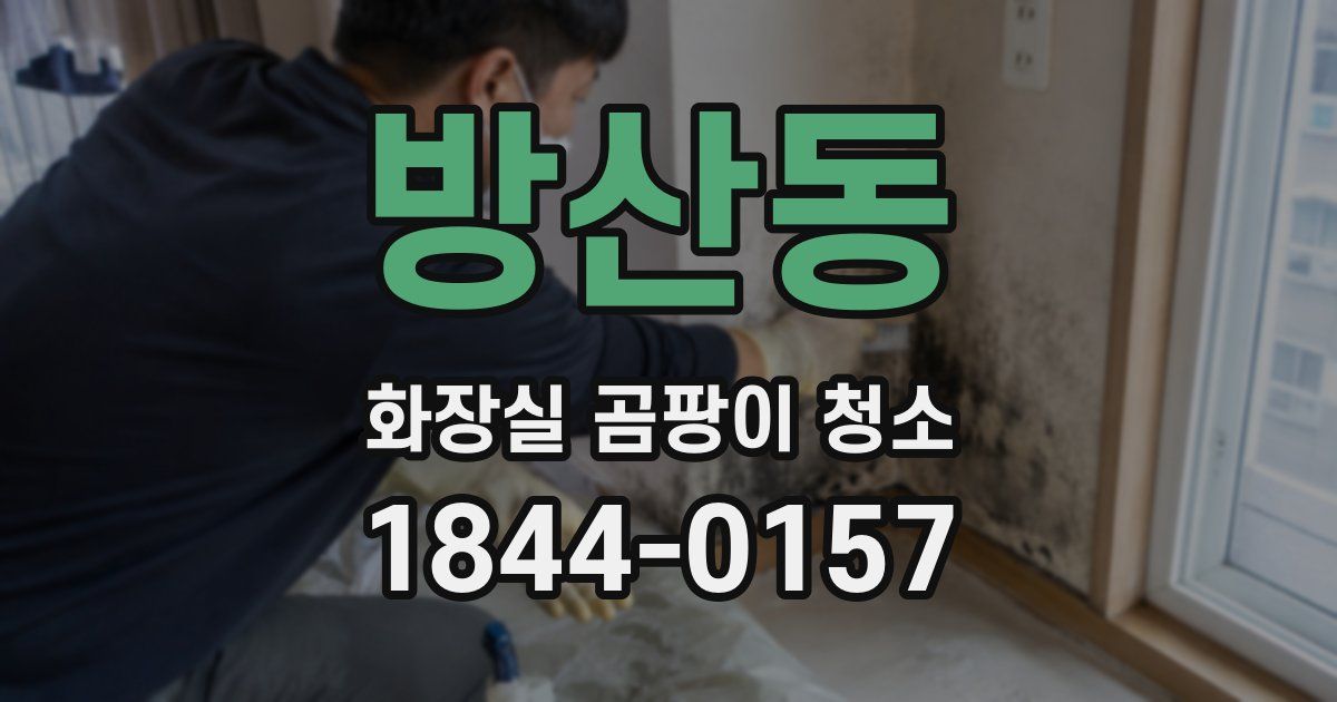 방산동 화장실 곰팡이 청소