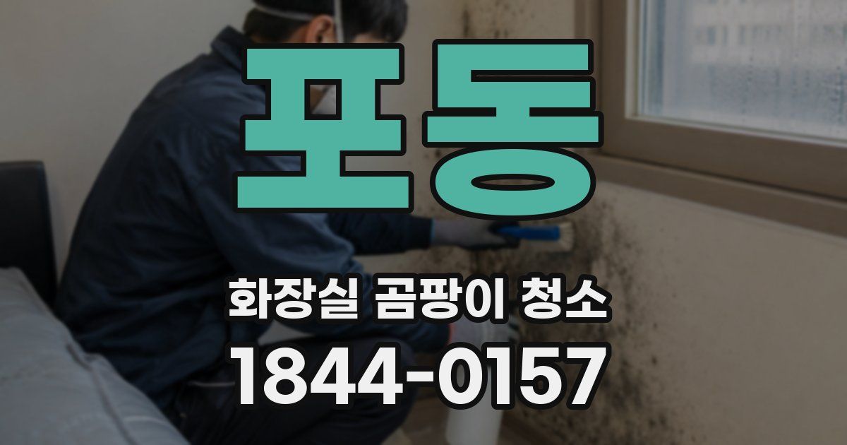 포동 화장실 곰팡이 청소