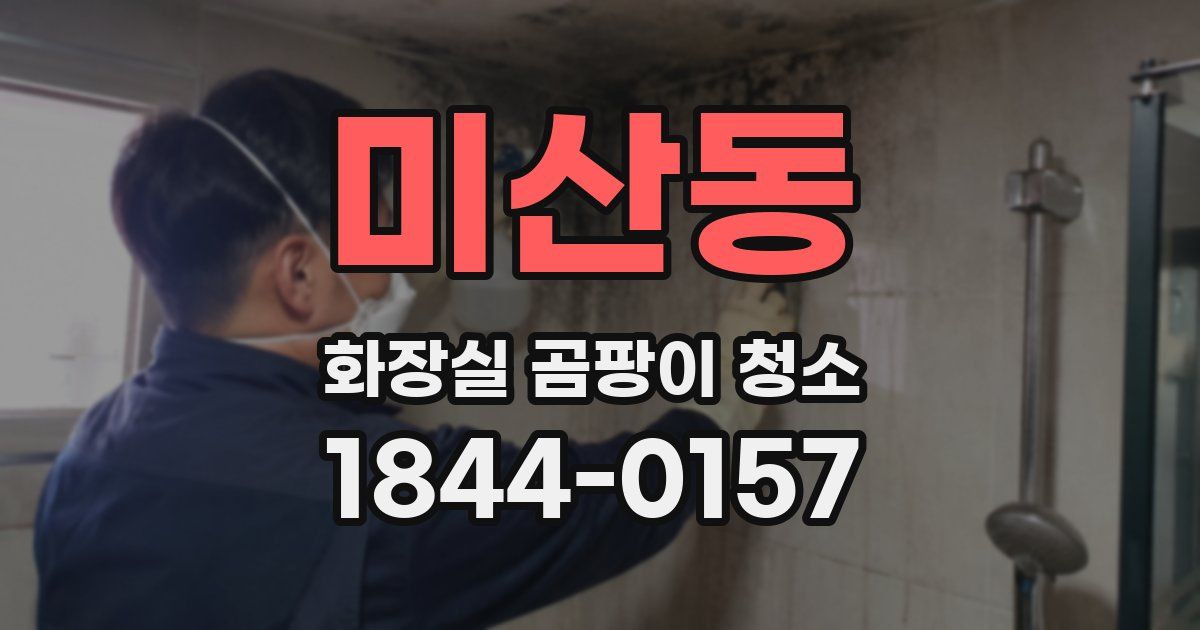 미산동 화장실 곰팡이 청소