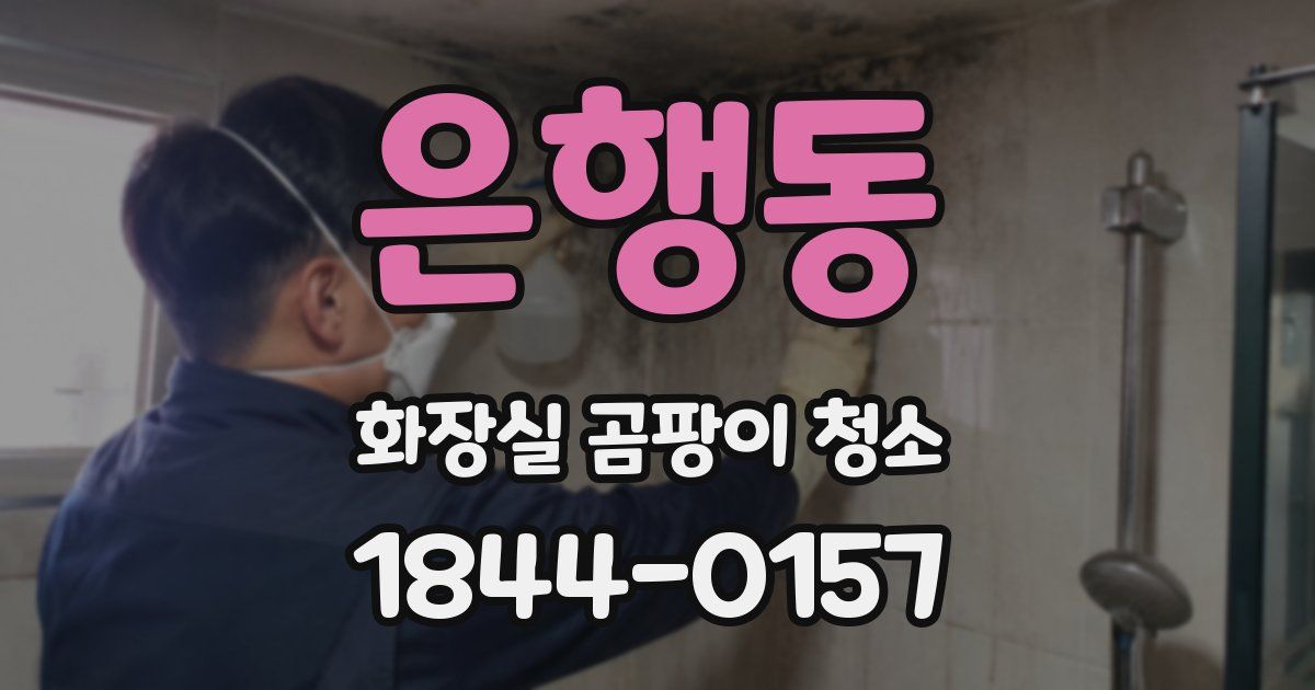 은행동 화장실 곰팡이 청소