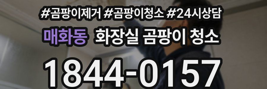 매화동 화장실 곰팡이 청소