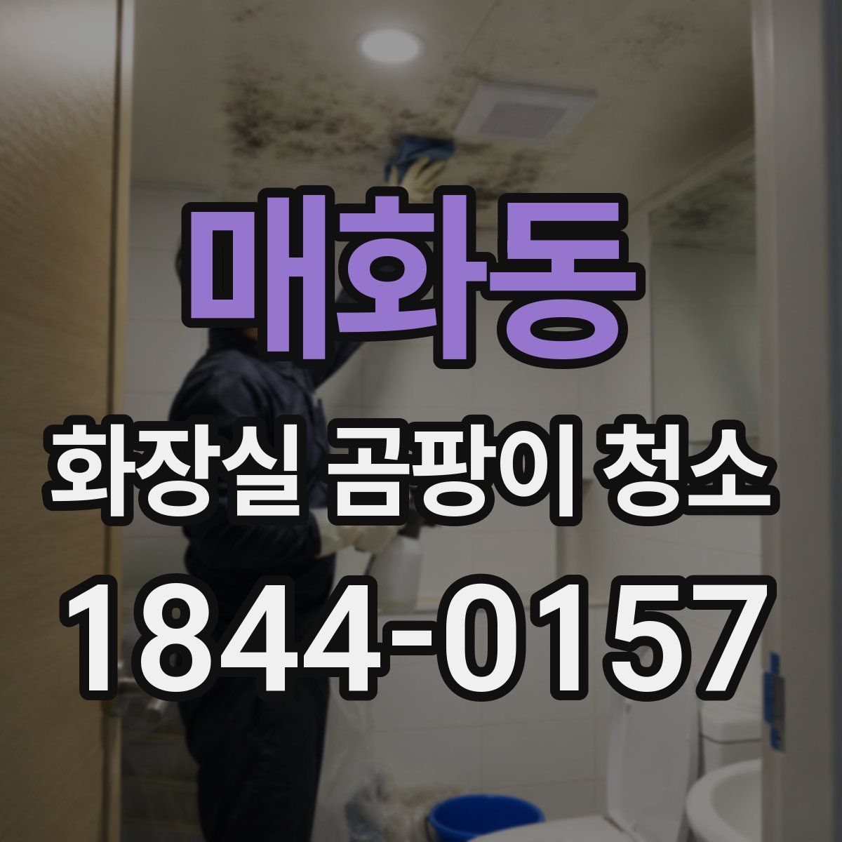 매화동 화장실 곰팡이 청소