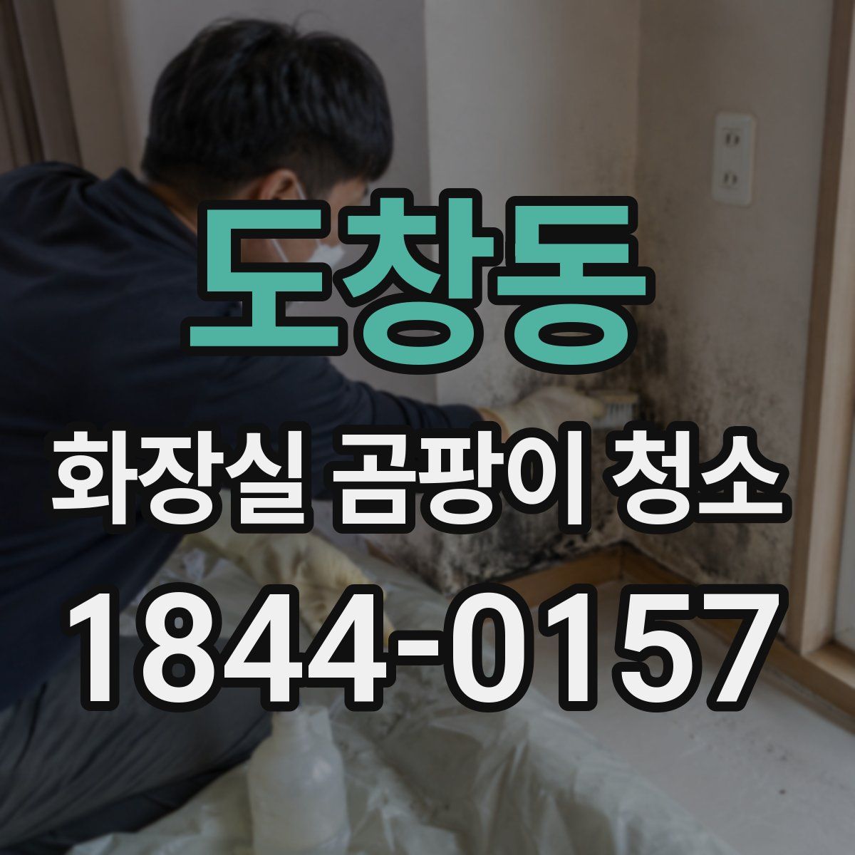 도창동 화장실 곰팡이 청소