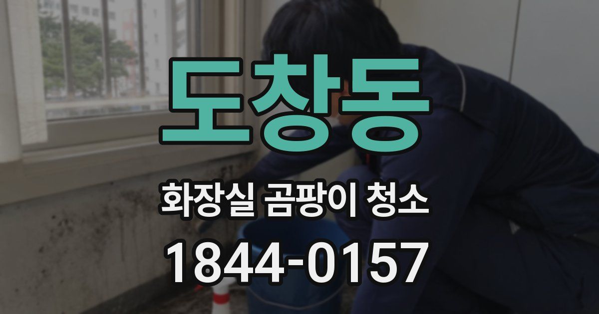 도창동 화장실 곰팡이 청소