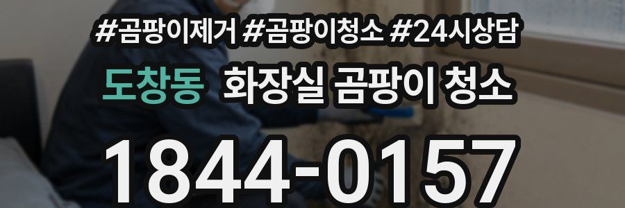 도창동 화장실 곰팡이 청소