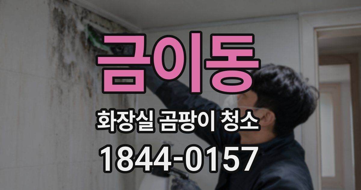 금이동 화장실 곰팡이 청소