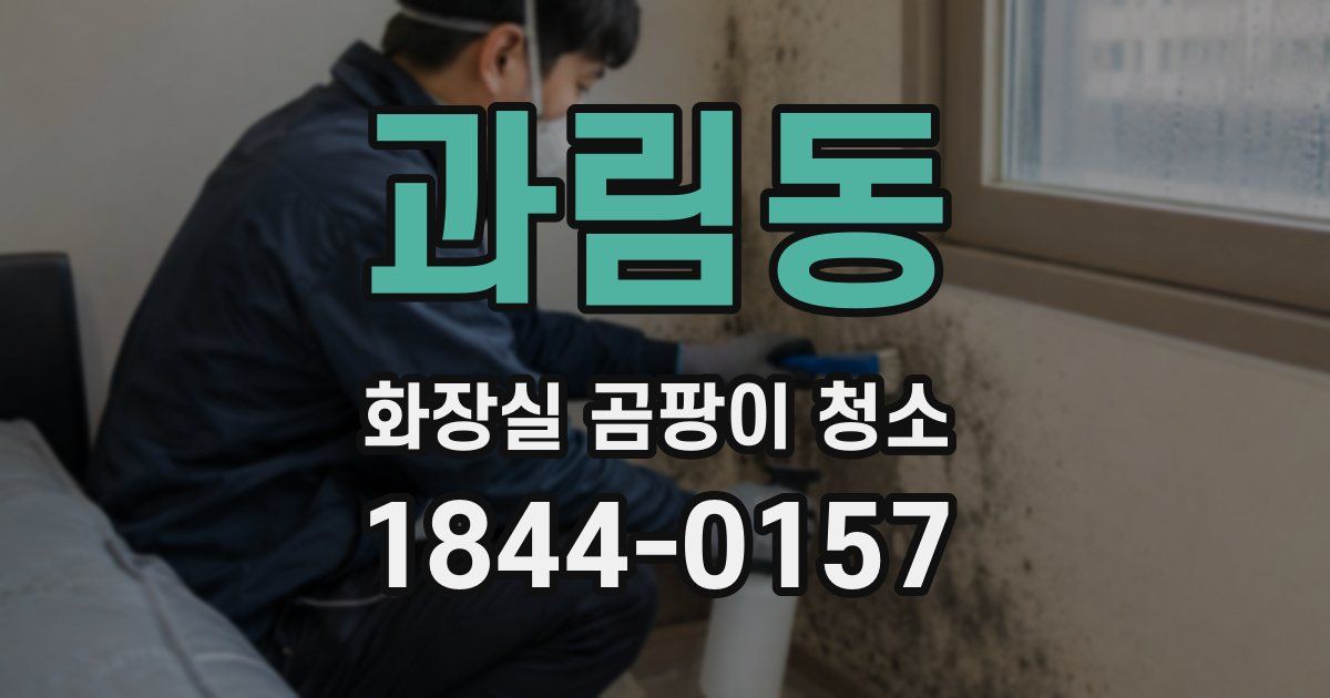 과림동 화장실 곰팡이 청소