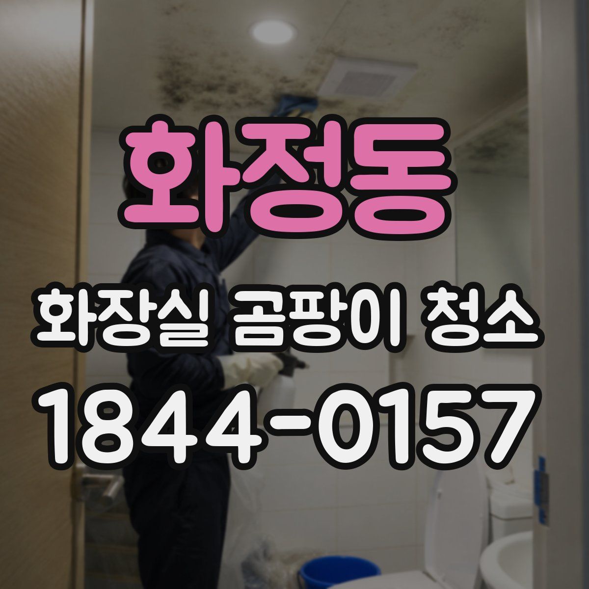 화정동 화장실 곰팡이 청소