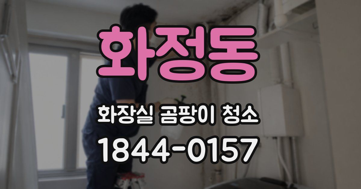 화정동 화장실 곰팡이 청소