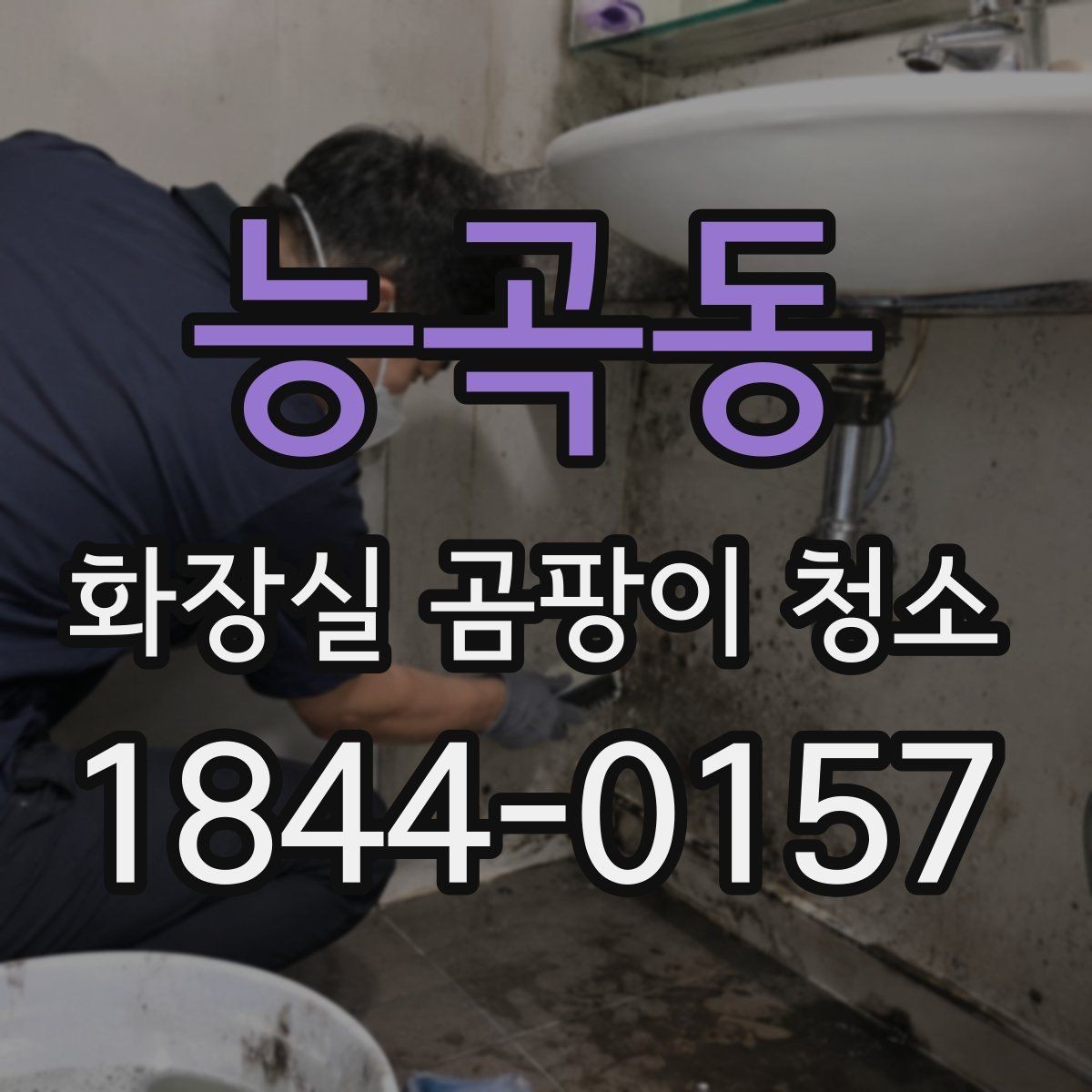 능곡동 화장실 곰팡이 청소 배관 주변 번식 구간 점검 포인트