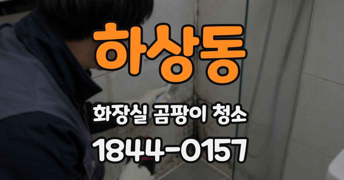 하상동 화장실 곰팡이 청소