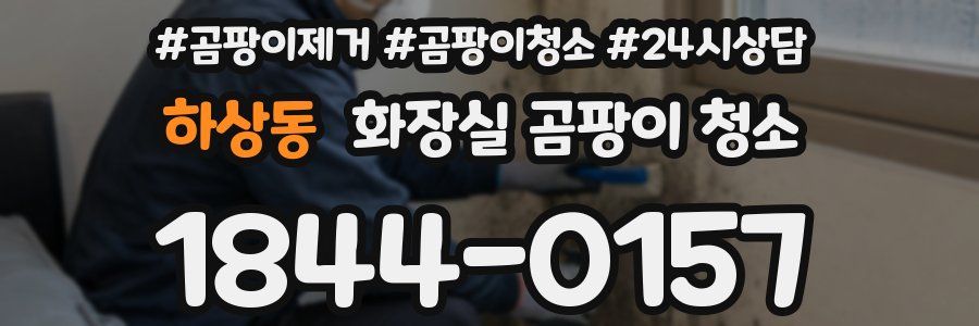 하상동 화장실 곰팡이 청소