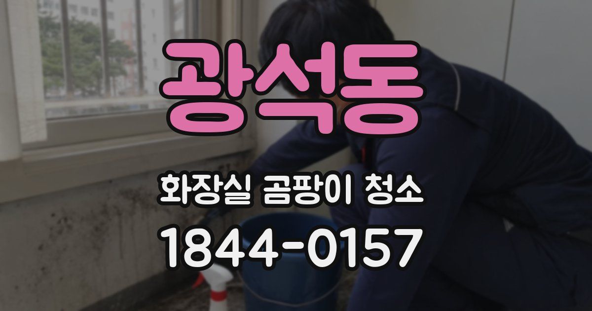 광석동 화장실 곰팡이 청소