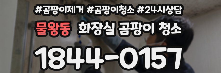 물왕동 화장실 곰팡이 청소