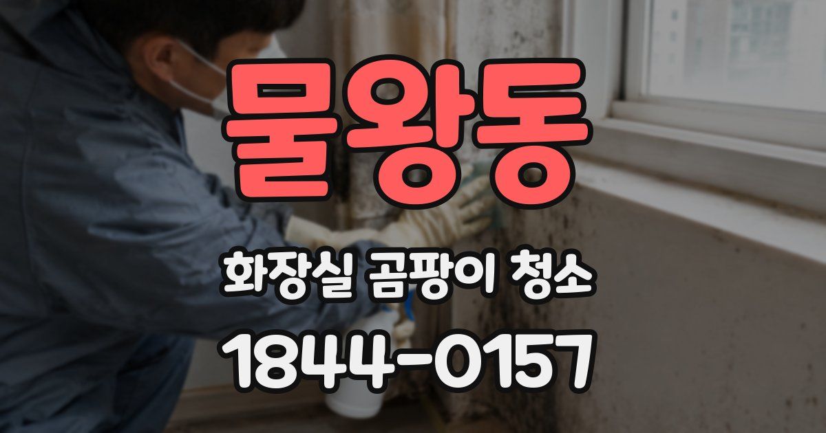 물왕동 화장실 곰팡이 청소