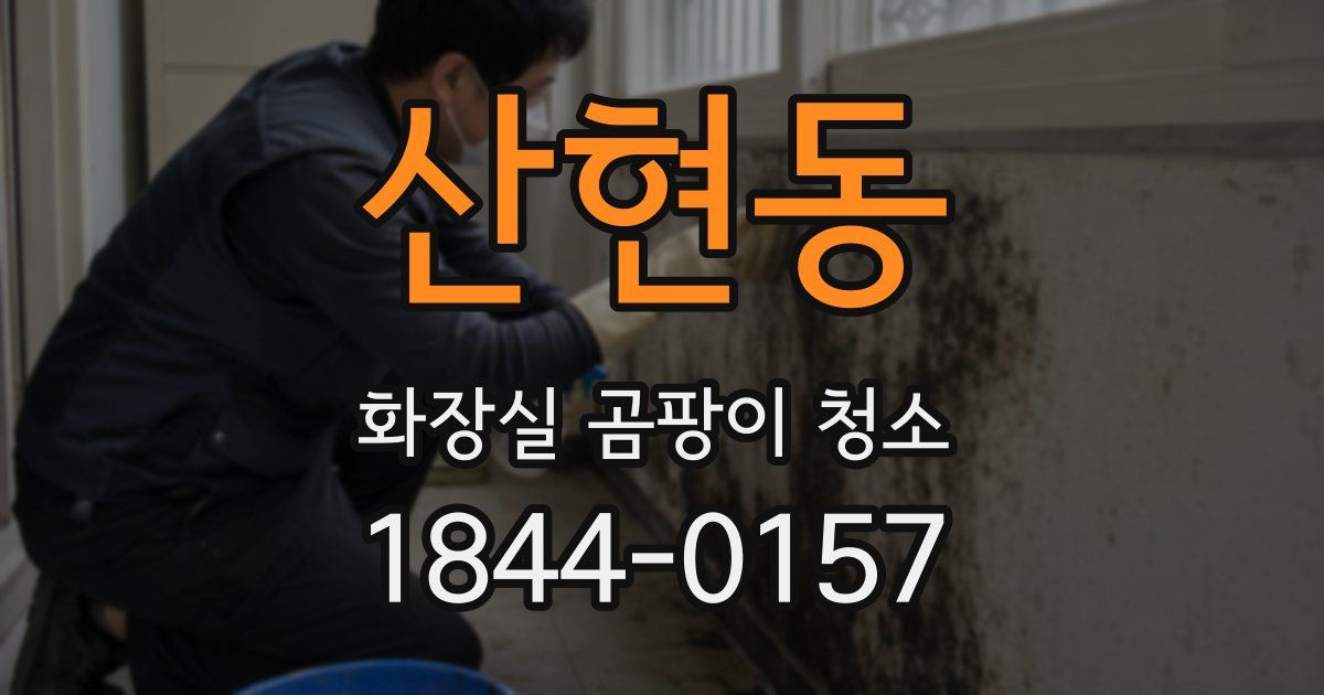 산현동 화장실 곰팡이 청소