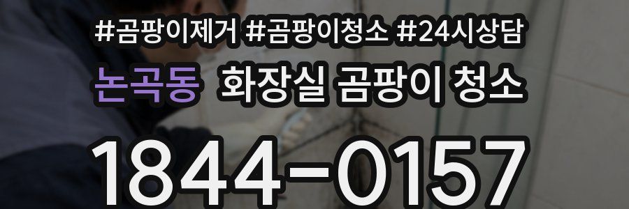 논곡동 화장실 곰팡이 청소