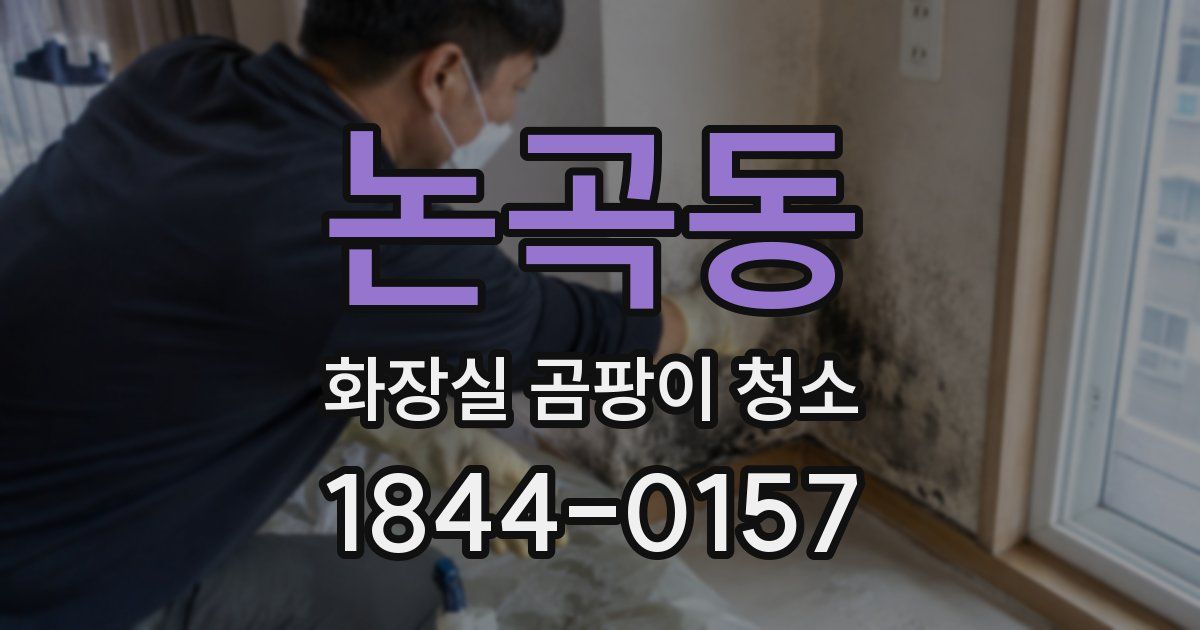 논곡동 화장실 곰팡이 청소