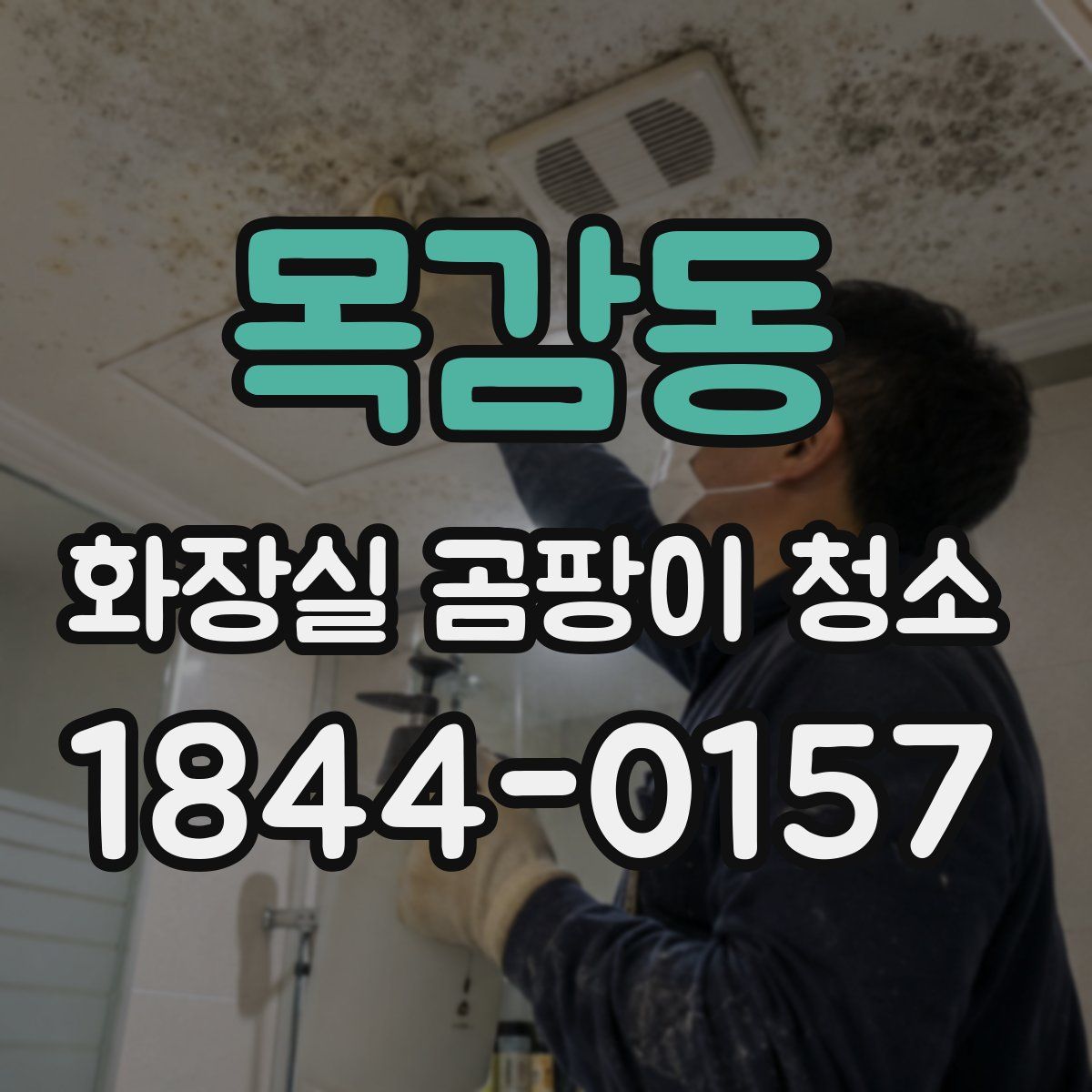 목감동 화장실 곰팡이 청소
