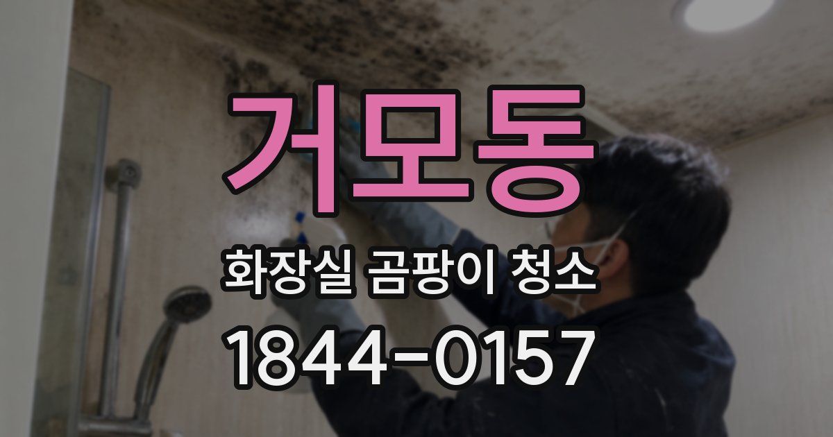 거모동 화장실 곰팡이 청소