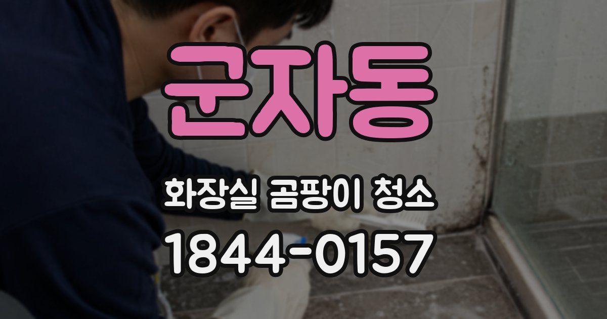 군자동 화장실 곰팡이 청소