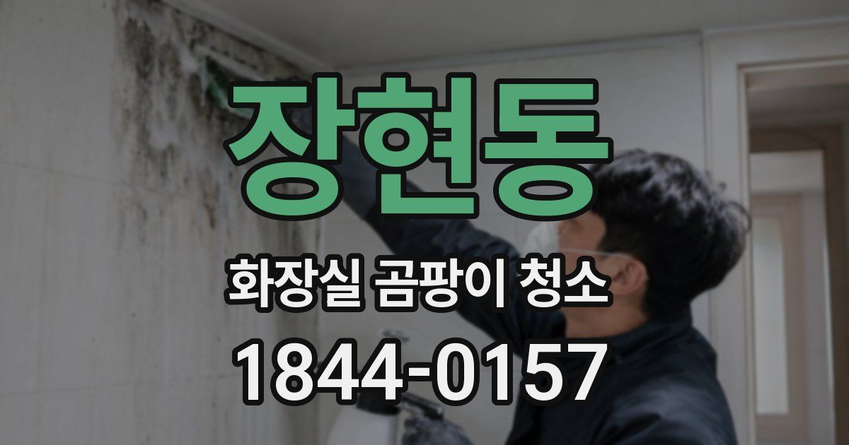 장현동 화장실 곰팡이 청소