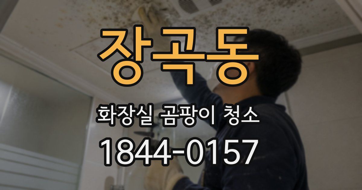 장곡동 화장실 곰팡이 청소