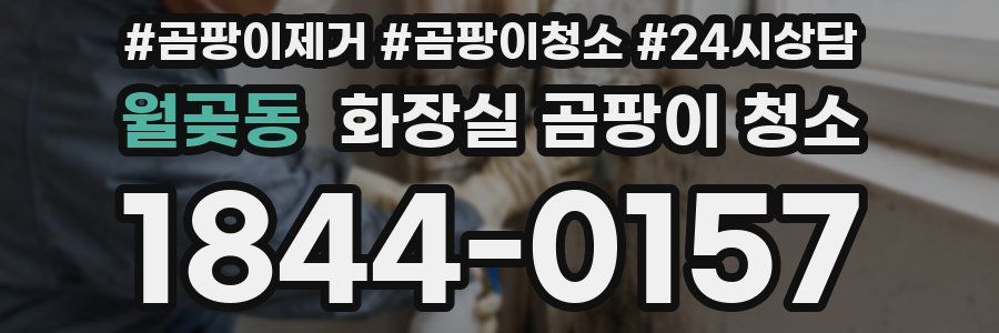 월곶동 화장실 곰팡이 청소