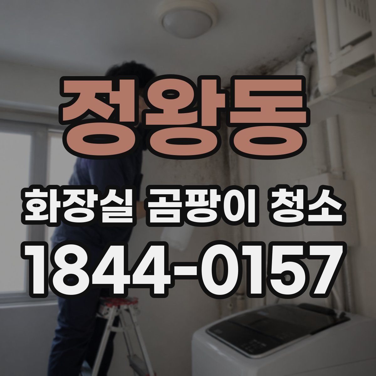 정왕동 화장실 곰팡이 청소