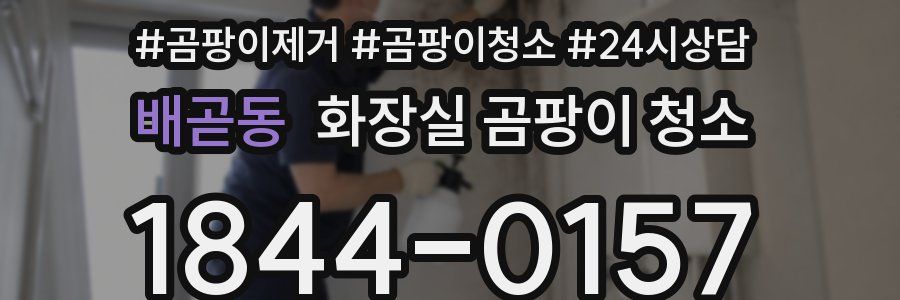 배곧동 화장실 곰팡이 청소