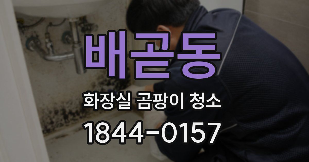 배곧동 화장실 곰팡이 청소