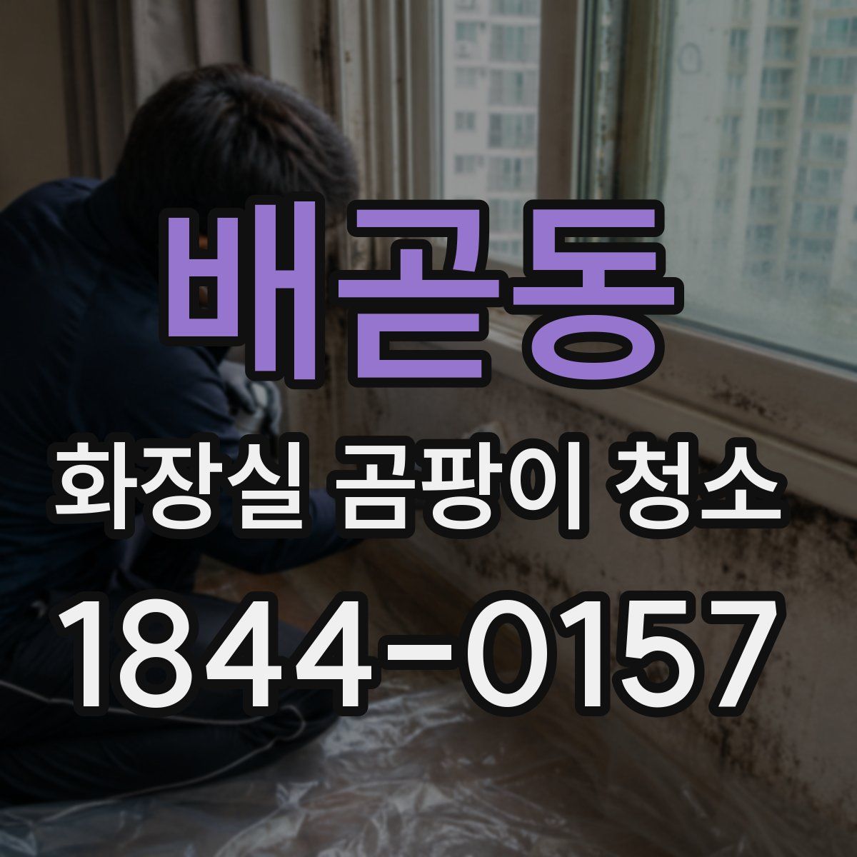 배곧동 화장실 곰팡이 청소
