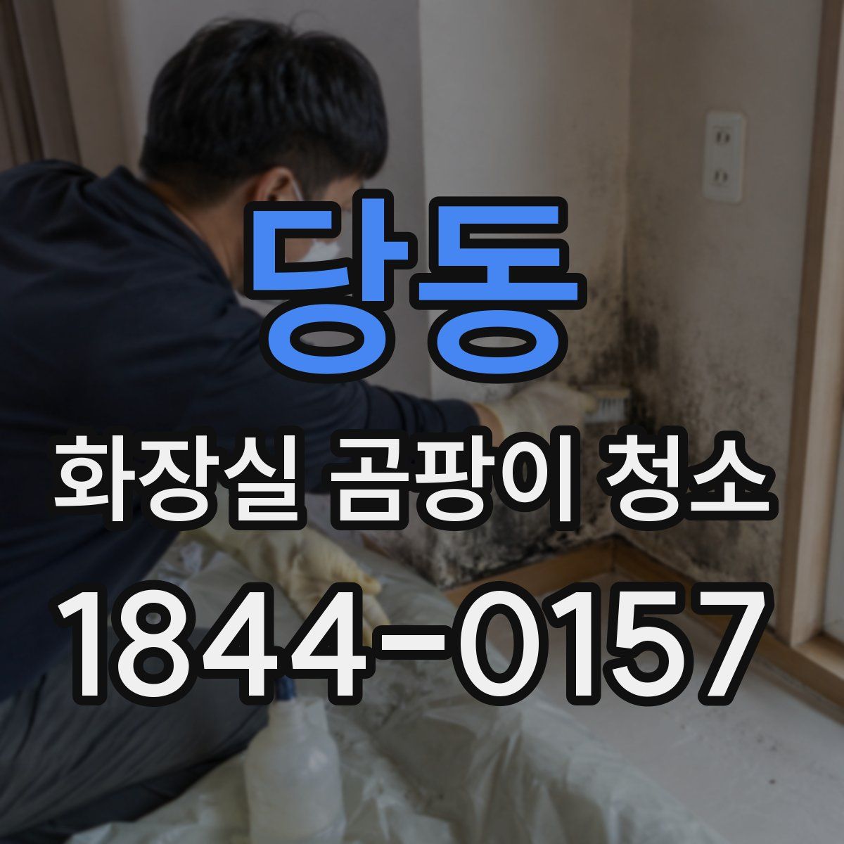 당동 화장실 곰팡이 청소