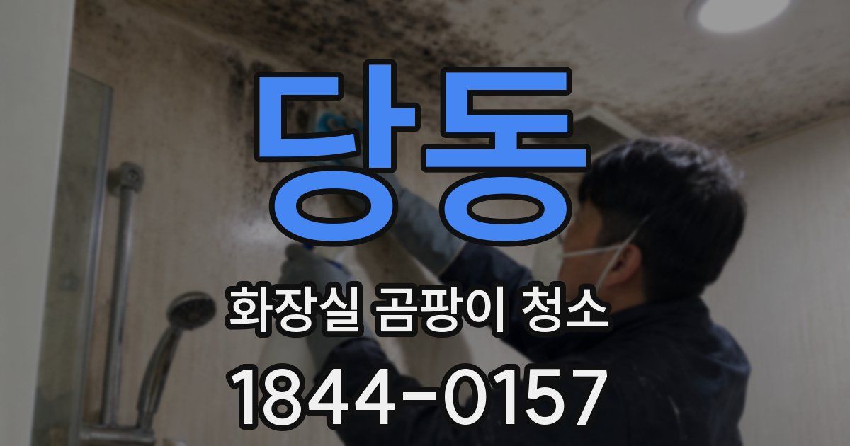 당동 화장실 곰팡이 청소