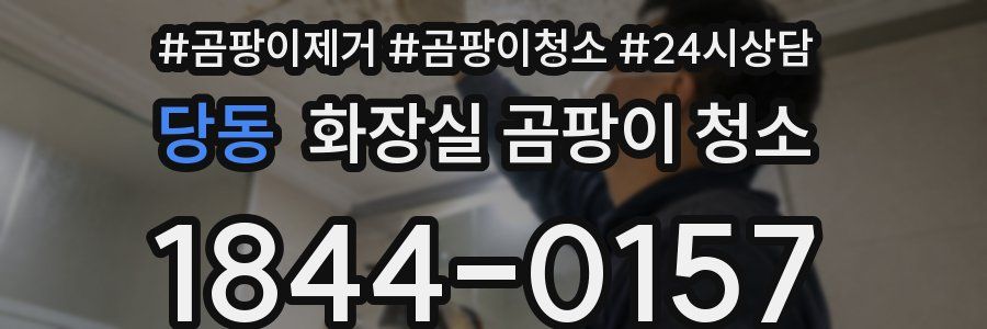 당동 화장실 곰팡이 청소