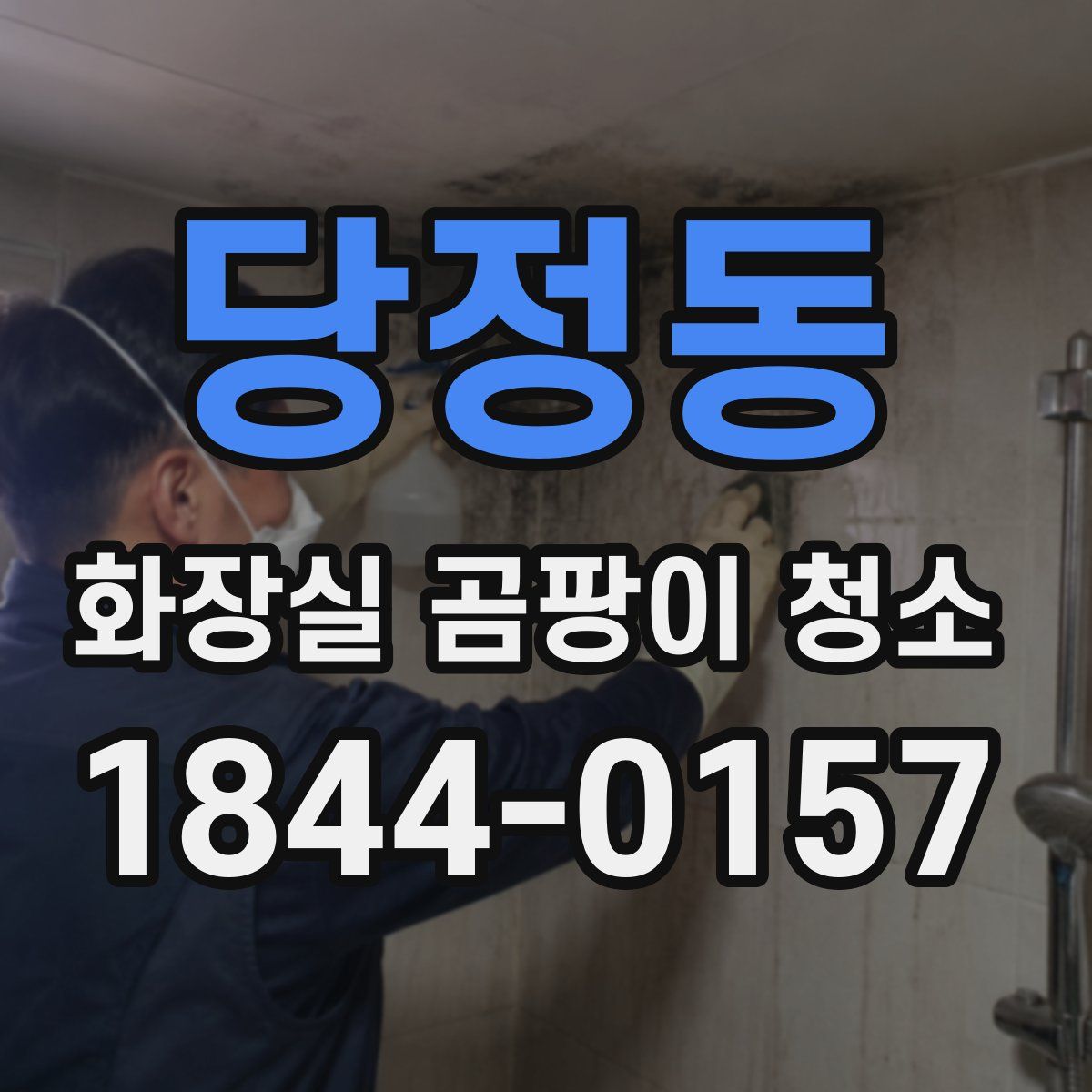 당정동 화장실 곰팡이 청소