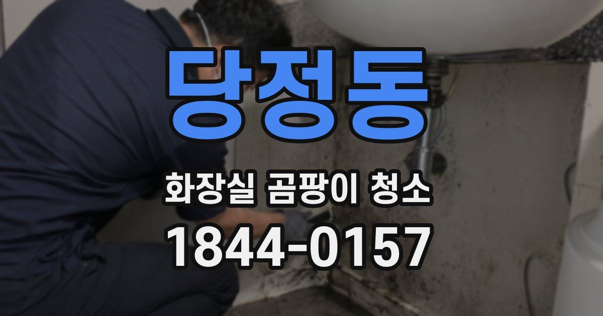 당정동 화장실 곰팡이 청소