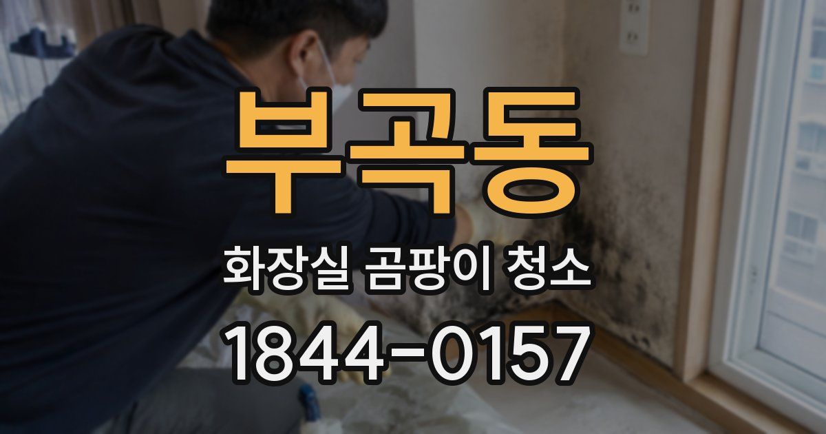 부곡동 화장실 곰팡이 청소