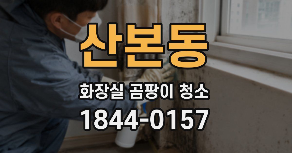 산본동 화장실 곰팡이 청소